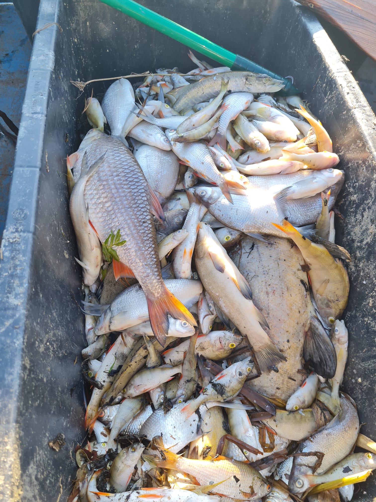 Sauerstoffmangel 2023